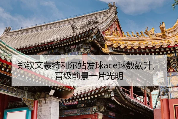zheng-qin-wen-meng-te-li-er-zhan-fa-qiu-qiu-shu-biao-sheng-jin-ji-qian-jing-yi-pian-guang-ming-3-509.jpg